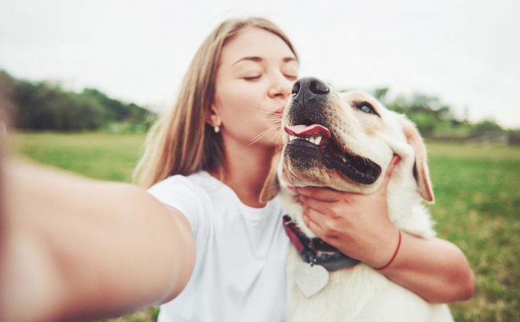 7 spôsobov, ako prejavíte lásku svojmu psovi